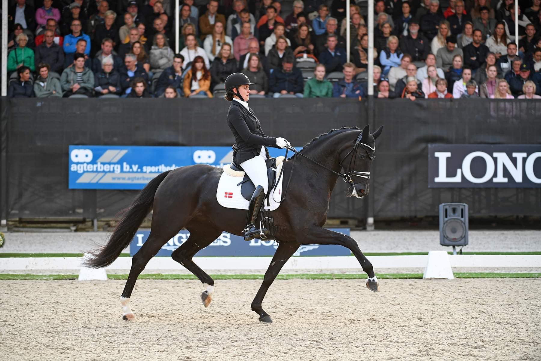 Victoria fra Vallentin Dressage konkurrerer til ridestævne.
